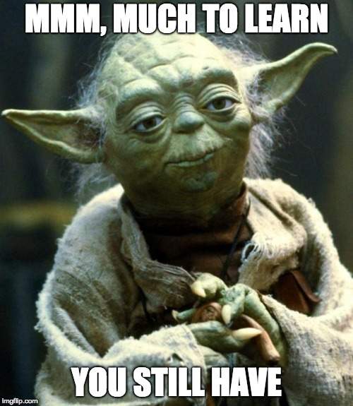 Much to learn you still have